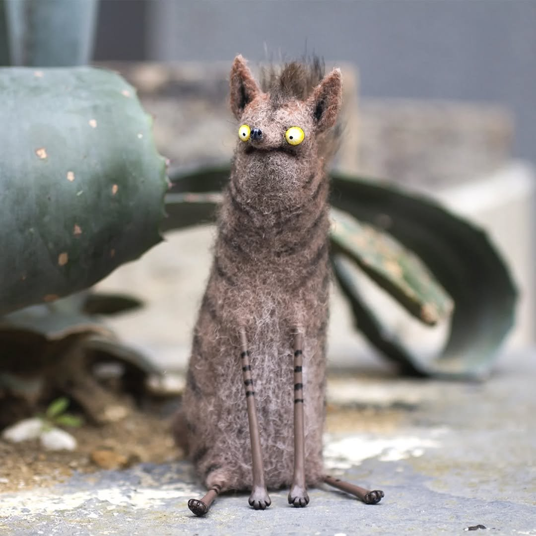 😲🦛 Verblüffte Hyäne
